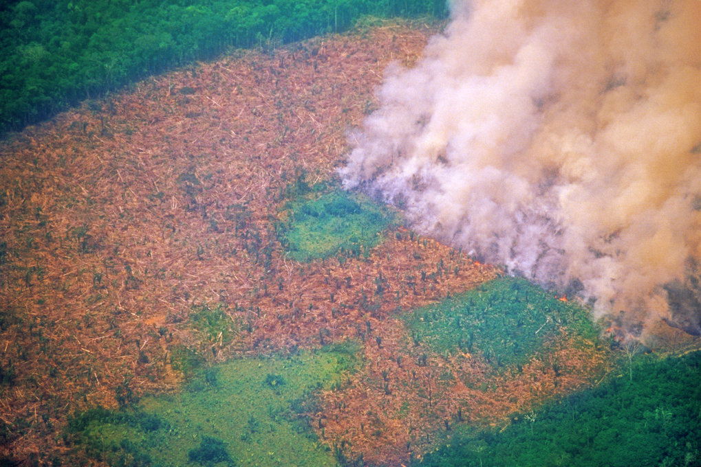 Aerial view of smoking forest, deforestation