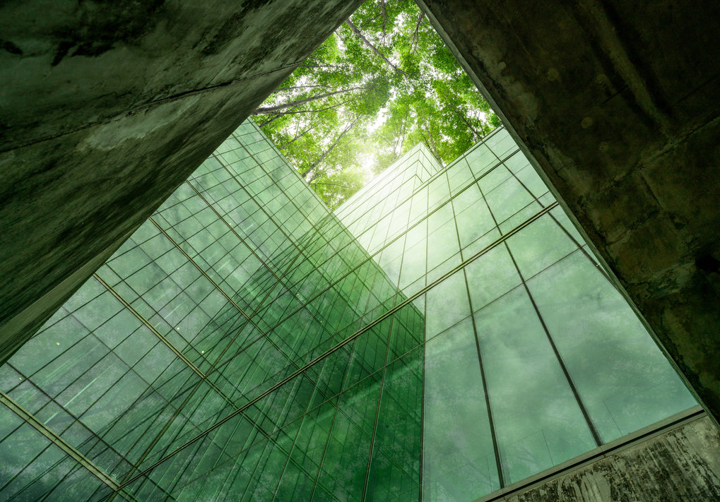 Upward view through green glass building to trees and light